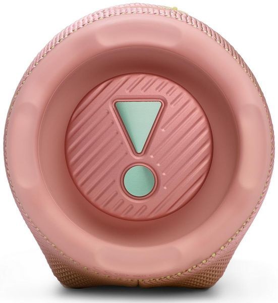 Портативна колонка JBL Charge 6 Pink JBLCHARGE6PINK фото